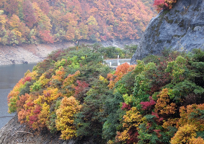 奥只見湖の秋の紅葉の様子です。紅葉の名所としても有名な奥只見の紅葉は本当に綺麗で美しいものです。