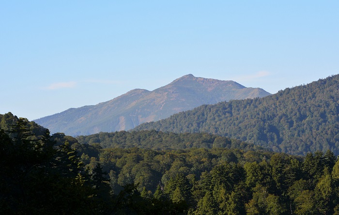 秋晴れの中、燧ケ岳の麓の原生林の奥に望む尾瀬ヶ原のシンボル・至仏山。いつ見ても雄大で美しく、まさに素晴らしい名峰ですね(２０１９年９月２５日）。