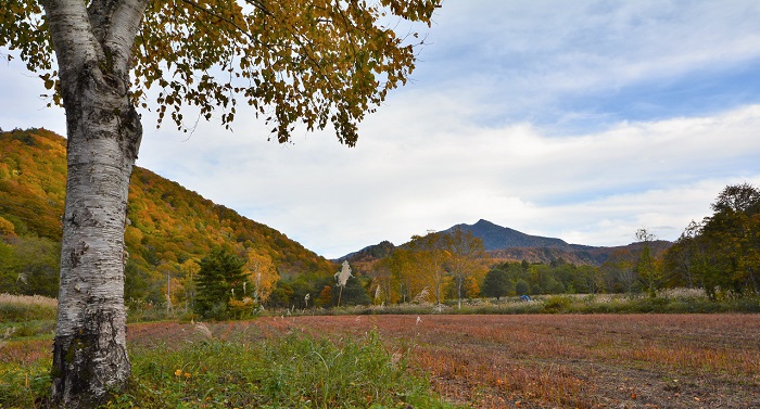 小沢平の新そばを刈り終えた蕎麦畑の奥に東北以北の最高峰・燧ケ岳（標高２３５６ｍ）を望む(２０１９年１０月２３日）。