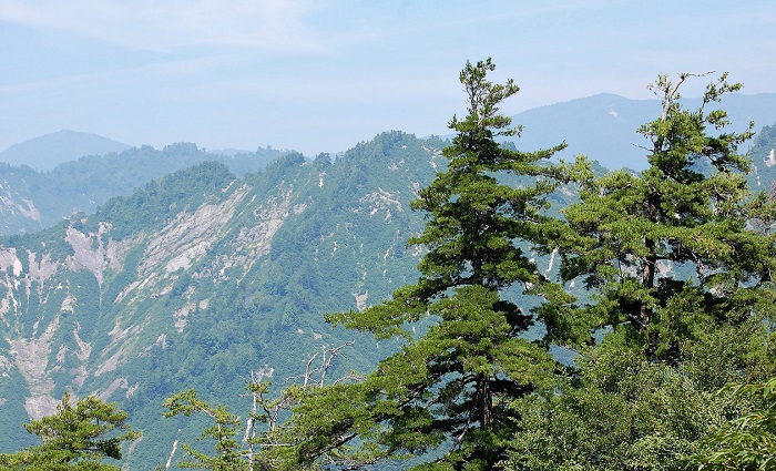 その昔、銀が採掘された銀山というだけあり、その山肌は切り立ち独特の岩肌の景観が見られます(画像は２０１８年７月１９日の画像です）。