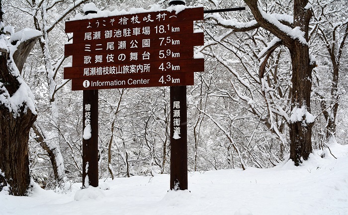 落葉の季節が終わり、原生林が雪化粧に染まる初冬の檜枝岐村（２０１９年１２月５日）。