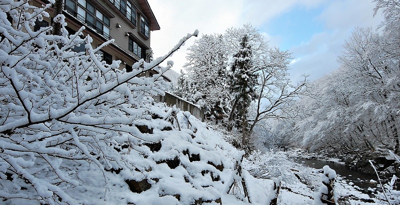 冷たい雪ですが本当に綺麗です（２０１９年１２月２３日）。