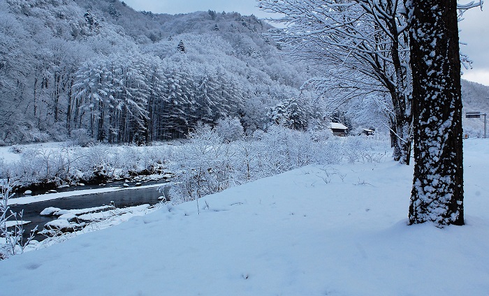 霧氷の雪景色に染まるミニ尾瀬公園より清流の川の流れと桧枝岐村の山々、そして尾瀬国立公園の方角を望む（２０１９年１２月２３日）。
