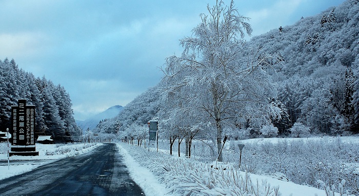 霧氷の雪景色に染まるミニ尾瀬公園より桧枝岐村村内の方角を望む（２０１９年１２月２３日）。