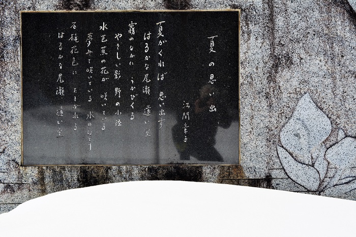 江間章子さん作詞の「夏の思い出」。本当に素晴らしい尾瀬の永遠の名歌です（２０２０年３月１５日）。