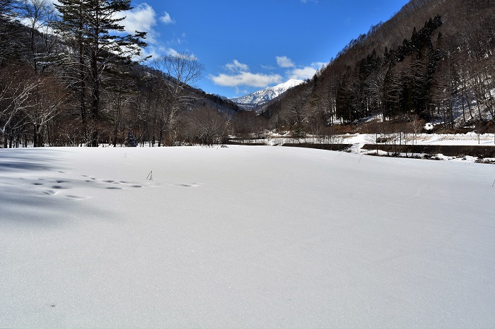 ミニ尾瀬公園の山々の谷間の奥に望む燧ケ岳の光景からは尾瀬の郷・桧枝岐村の歴史と伝統を感じます（２０２０年３月１５日）。