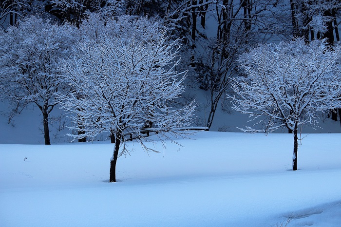 四季折々の深山の大自然の光景に包まれる桧枝岐村（ミニ尾瀬公園の雪景色・２０２０年３月１６日）。