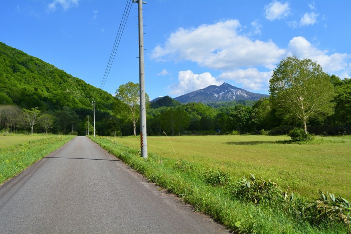 小沢平開墾地より東北以北の最高峰・燧ケ岳（標高２３５６ｍ)を望む。幼少の頃は電柱もなく道路も砂利道でしたが、この写真の右側を流れる只見川とともに最高の思い出の秘境であり、故郷です（２０２０年新緑の頃・開墾地草刈り作業にて）。