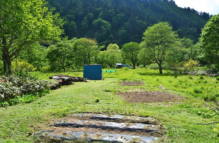 ここ小沢平開墾地は、今では我が家だけが生活しておりますが、砂子平開墾地でも一軒の人々が生活されております。戦後に桧枝岐村の人々が食糧もない中で想像を絶するような困難を乗り越え、大自然とともに共生してきた、言葉では語りつくせないほどの歴史の場所です（２０２０年５月２９日）。