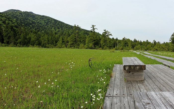 来シーズンは、多くの花々咲くこの季節に、多くの登山客の皆さんにこのベンチでのご休憩とともに、美しい大自然の光景を見ていただきたいと願うこの日でした（２０２０年６月１８日）。