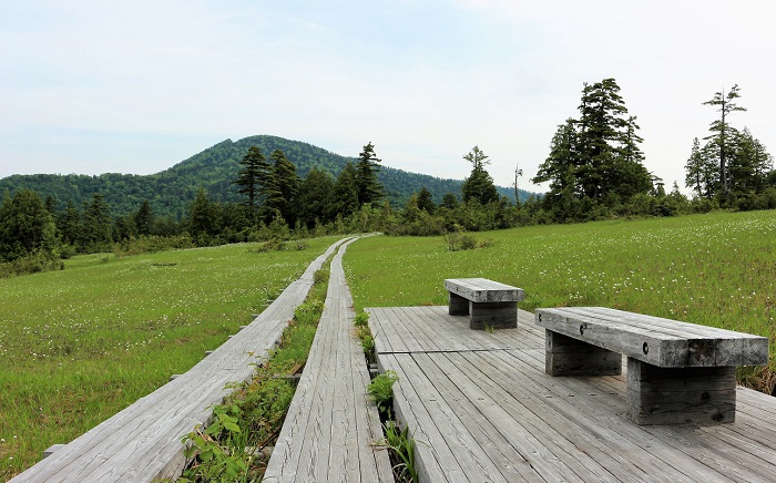 裏燧林道より会津駒ケ岳に続く大杉岳(標高１９２１．４ｍ）を望んで（２０２０年６月１８日）。