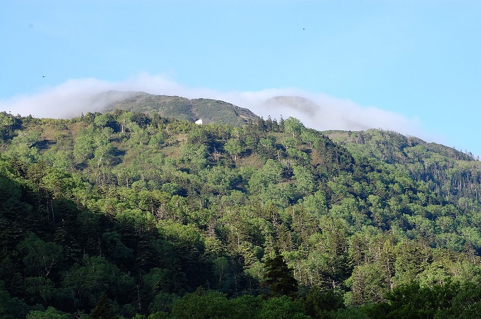 この日、尾瀬御池登山口から望む燧ケ岳は、山頂付近の爼嵓と柴安嵓に霧がかかり神秘的な景観が見られました（２０２０年６月２４日午前７時０８分）。