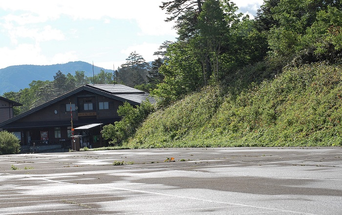 美しい花々のシーズン最盛期の尾瀬御池登山口。登山客の姿も車もありません。生まれて初めての光景です。この年はたしてシャトルバスが運行されるのか、尾瀬沼にお客様が尾瀬沼山峠登山口から入ることができるのかなど、何もわからない先行き真っ暗の日々でした（２０２０年６月２４日午前７時２２分）。