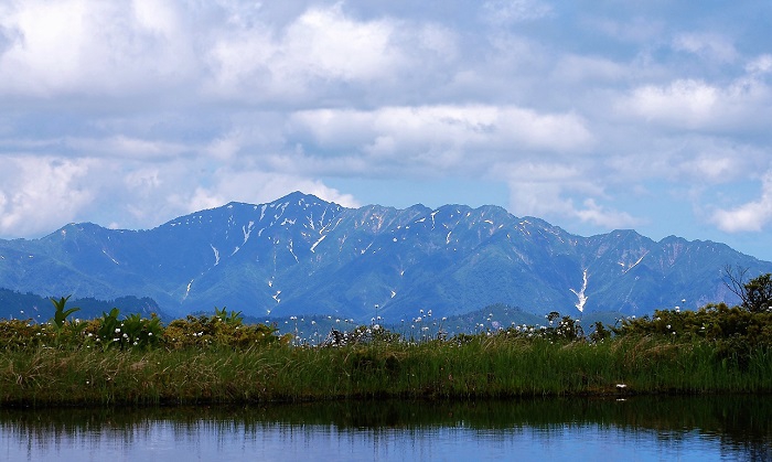 熊沢田代湿原の清らかな池塘の奥に越後連山を望んで（２０２０年６月２４日）。