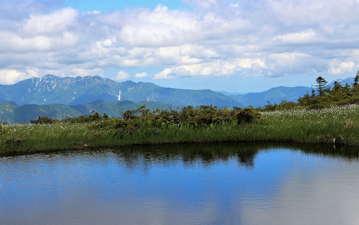 熊沢田代湿原の清らかな池塘の奥に越後連山を望んで（２０２０年６月２４日）。