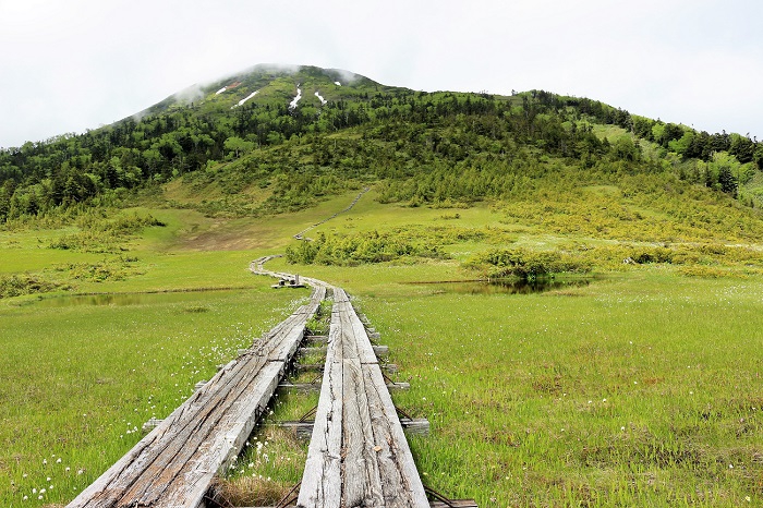 中学生の頃の登山や、消防団員として遭難救助での登山や、娘との登山や、家族全員での登山など、人生の中でも思い出いっぱいの、燧ケ岳（標高２３５６ｍ）です（２０２０年６月２４日）。