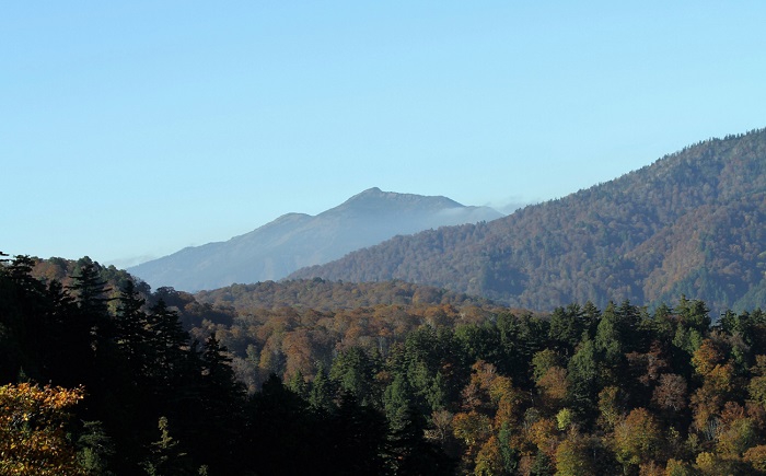 大霜が降りた日の朝、快晴の空のもと、至仏山を望んで（２０２０年１０月２１日・午前８時２５分）。