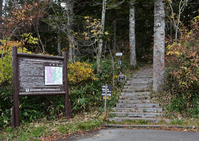 群馬県側の尾瀬入山口から比べれば、人混みも少なく、静かで素朴で、遥かな遠い雰囲気満点の尾瀬沼山峠登山口です（２０２０年１０月２０日）。