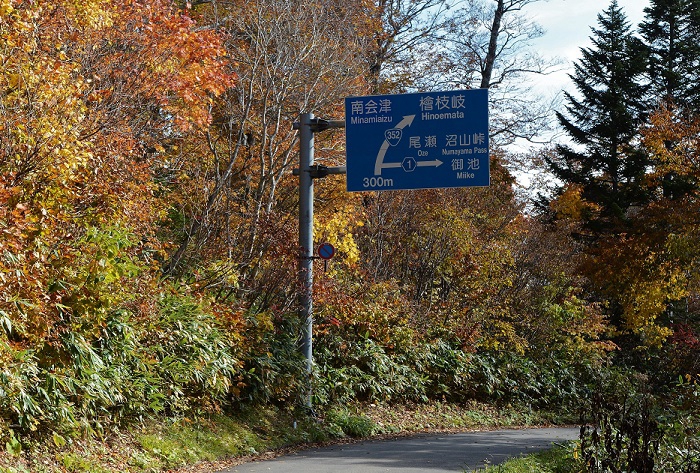 この時期でも、まだ色とりどりで美しい秋の姿が見られた尾瀬御池登山口周辺の紅葉です（２０２０年１０月２０日）。