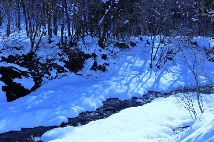 毎日、厳しい風雪と寒さが続く中、日差しを浴びた冬の雪景色からは心温まる冬と雪の美しさが感じられます（２０２１年１月２５日）。