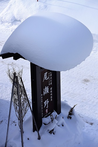 厳しい風雪の自然が醸し出す雪景色。冬の自然は、時に本当に厳しいものですが、太陽の光を浴びる晴天の日には厳しい冬の自然が作り出す、純白の雪の美しさに出会うものです（２０２０年１２月２２日）。 