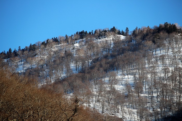 村内より、花の名山・会津駒ケ岳(標高２１３２．４ｍ）の尾根につながる残雪の山々を望んで（２０２１年４月１５日）。