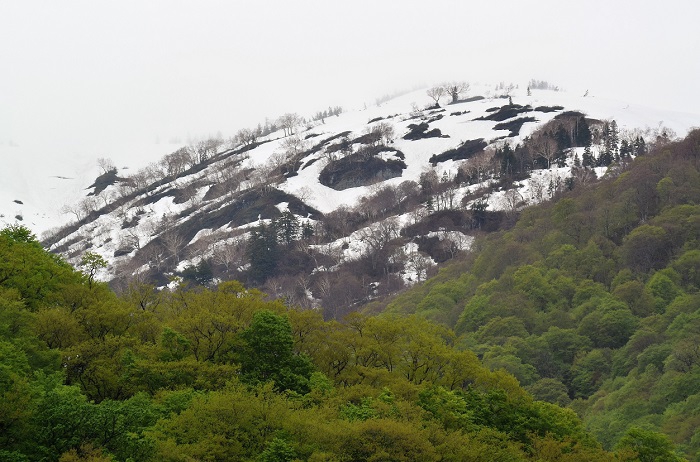 新緑と残雪の尾根の奥にそびえる花の名山・会津駒ケ岳（標高２１３２．４ｍ）の中門岳方面を望んで（２０２１年５月１７日）。