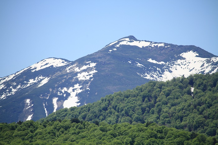 高山植物の宝庫・至仏山(標高２２２８ｍ）は、どこから眺めても山容の美しい名峰ですね（２０２１年６月１日）。