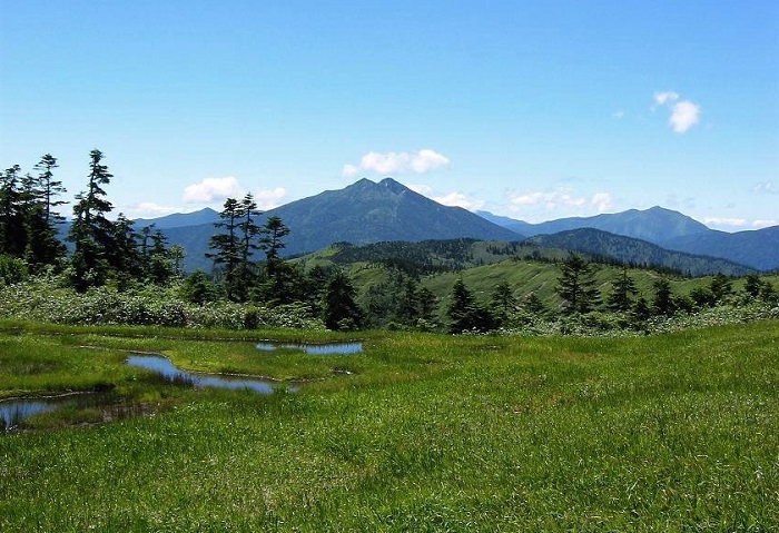 会津駒ケ岳の高層湿原の池塘の奥に東北以北の最高峰・燧ケ岳を望んで（２００７年8月１３日の画像です）。