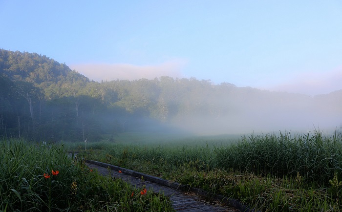 朝日の当たり始める朝もやに包まれた、尾瀬御池湿原の光景です（２０２１年８月４日・５時３９分）。