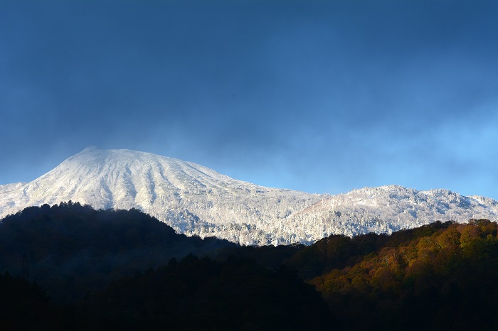 紅葉の尾瀬ブナ平の奥に白銀の燧ケ岳（標高２３５６ｍ）を望んで（２０２１年１０月２２日・AM６時４８分）。