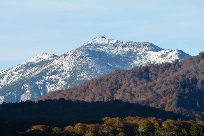 小沢平ブナ樹海ラインより望む、雪化粧した尾瀬ヶ原のシンボル・至仏山（標高２２２８ｍ）の光景です。紅葉と落葉と雪景色の３つの景観が見られますね（２０２１年１０月２７日・AM７時０７分）。