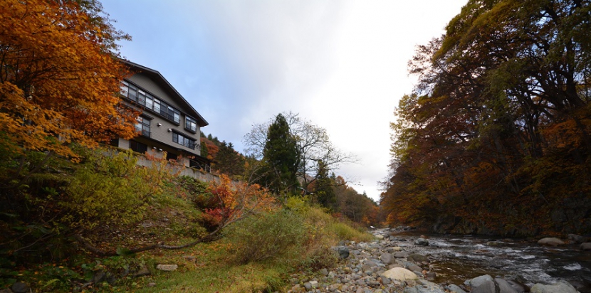 これから落葉が進んでゆく、朝の桧枝岐川渓谷にて。モミジが見頃で、秋の川の流れとともに綺麗な姿でした（２０２１年１１月４日）。