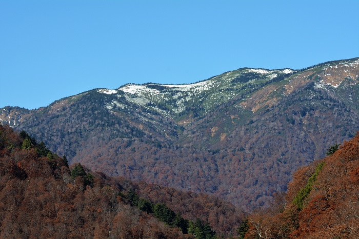 落葉した檜枝岐村の山々の奥に花の名山・会津駒ケ岳（標高２１３２．４ｍ）の山容の一部を望んで。なだらかな山の形容がその美しさを物語っているようです（２０２１年１１月６日）。