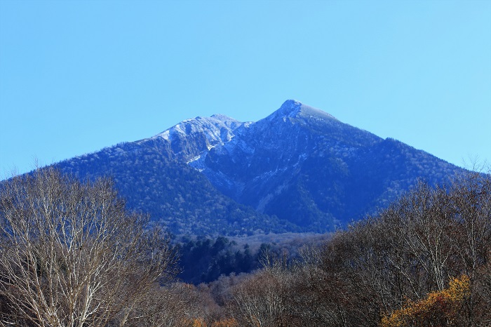 落葉の原生林の奥に、東北以北の最高峰・燧ケ岳（標高２３５６ｍ）の冠雪の姿を望んで（２０２１年１１月１３日・小沢平にて）。