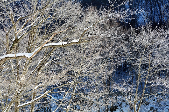 桧枝岐村・下畑地区は冬期間、霧氷の光景が多く見られる場所です（２０２１年１２月３日）。
