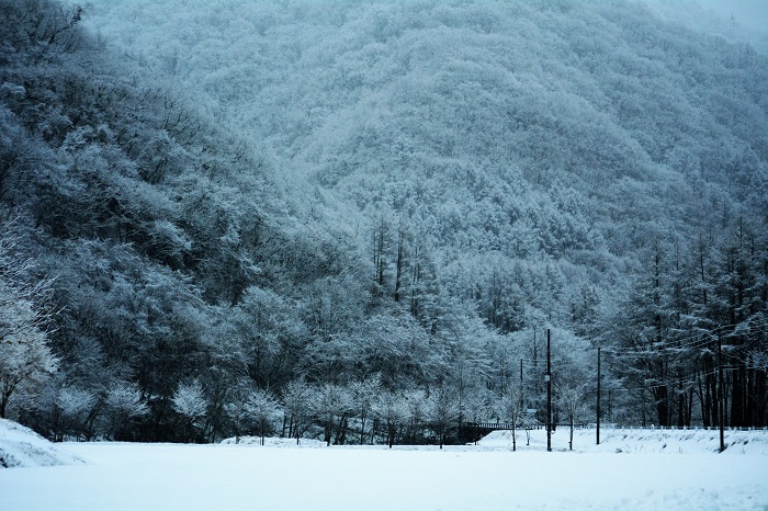 まるでモノクロ写真のように白と黒に彩られた、初冬の桧枝岐村のヨナゴ地区から、「会津駒ケ岳キリンテ登山口」方面を望む光景です（２０２１年１２月８日）。