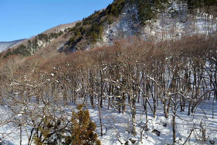 晴れたのもつかの間、この後強烈な寒波により、猛吹雪の日々が続いた、令和４年１月の大雪と猛吹雪の日々でした（２０２２年１月１０日）。