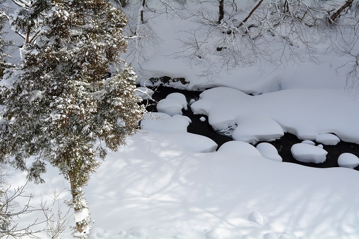尾瀬野の屋根の上から見た檜枝岐川渓谷の冬の景観です。厳しい猛吹雪の後の晴天の日には、必ず美しい雪景色が見られるものです（２０２２年１月１９日）。