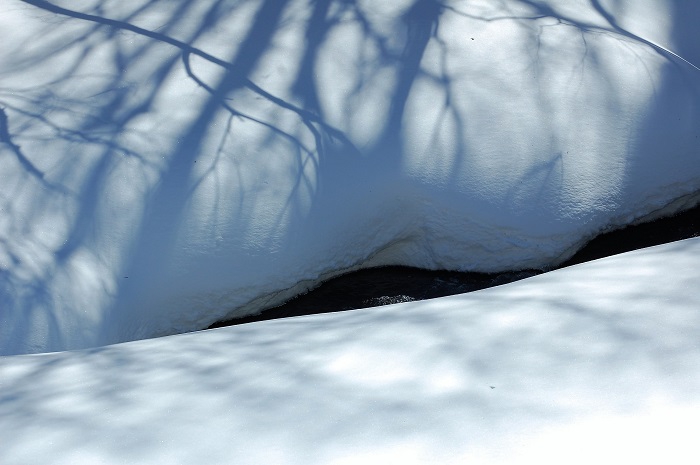 今年の豪雪では檜枝岐川渓谷の川の幅も雪でほぼ覆われていた３月初旬の厳冬の光景です（２０２２年３月４日）。


