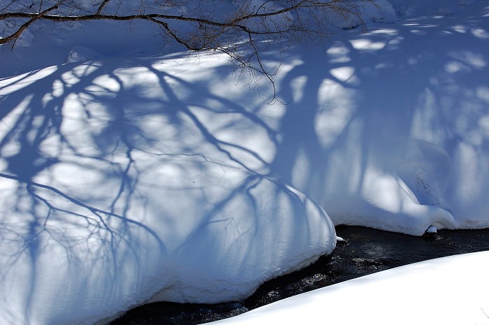 雪は生活してゆく上では本当に大変な除雪作業が伴いますが、雪と光のなす光景は、四季折々の様々な自然景観の中でもトップレベルの美しさが見られます（２０２２年３月４日）。