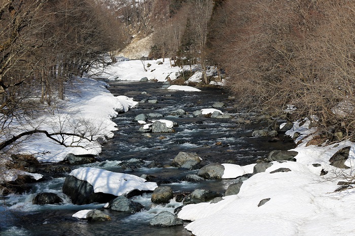 雪解け水の流れもまだまだ少なめなこの日でした。これから気温が上がるにつれて多くの雪解け水が流れてゆきながら、鮮やかな新緑の季節へと季節は流れてゆきます（２０２２年４月１０日）。