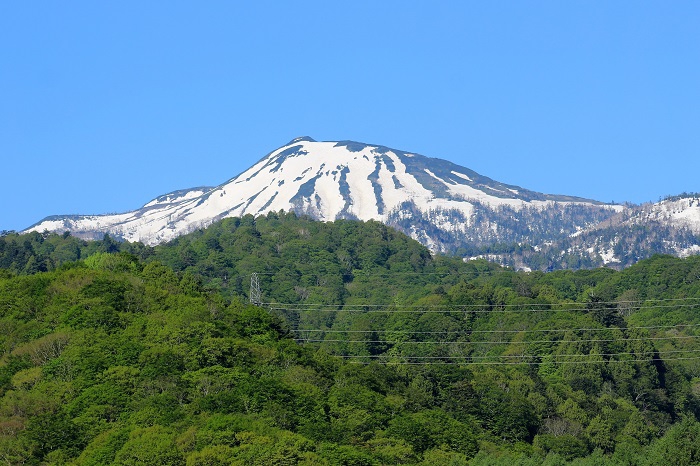 鮮やかな新緑に染まるブナ坂の原生林の奥に、残雪の雄姿を魅せる燧ケ岳(標高２３５６ｍ）を望んで（２０２２年５月２５日）。