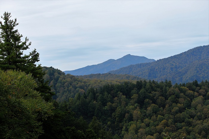 檜枝岐村の山々が、少しずつ秋色に変わりかけてきた頃に、小沢平ブナ樹海ラインより至仏山を望んで（２０２２年１０月３日）。