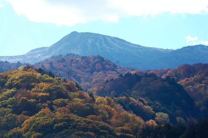 尾瀬ブナ坂の紅葉と、尾瀬ブナ平の紅葉の奥に、うっすらと雪化粧した、燧ケ岳（標高２３５６ｍ）を望んで（２０２２年１０月１９日早朝）。