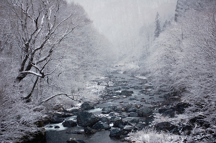 霧氷の景観に染まる、初冬の檜枝岐川渓谷の雪景色。冬の自然景観の美しさを物語る光景です（２０２２年１２月２日）。