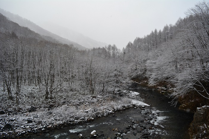 何気ない川の景観が、芸術のごとく姿を変える雪の光景。生活してゆくには厳しく本当に大変な雪ですが、芸術美を常に見せてくれるのが、雪です（２０２２年１２月２日）。