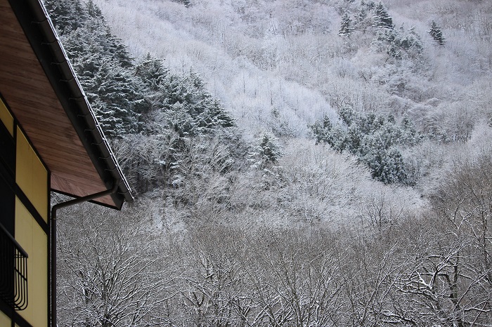 白銀の雪景色に染まる初冬の尾瀬野。長い年で約半年・６か月。短い年でも、約５か月続く特別豪雪地帯の冬の姿の始まりです（２０２２年１２月６日）。
