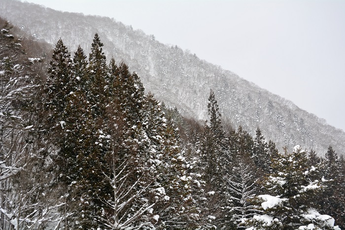 尾瀬野の屋根の雪下ろしの合間に、会津駒ケ岳(標高２１３２．４ｍ）・滝沢登山口方面の冬の光景を望んで（２０２３年１月６日）。