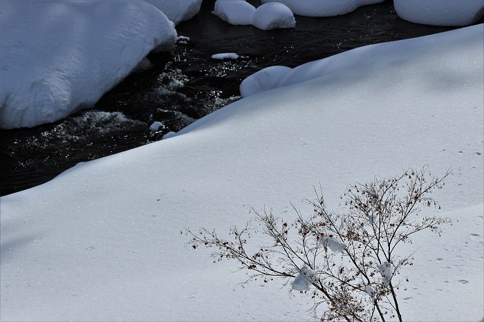 晴れ渡った翌日。檜枝岐川渓谷の光と雪と、せせらぎの光景を望んで（２０２３年１月７日）。